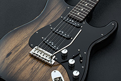 Gilmour Inspired Black Strat Parts Gilmour Inspired Black Strat Parts